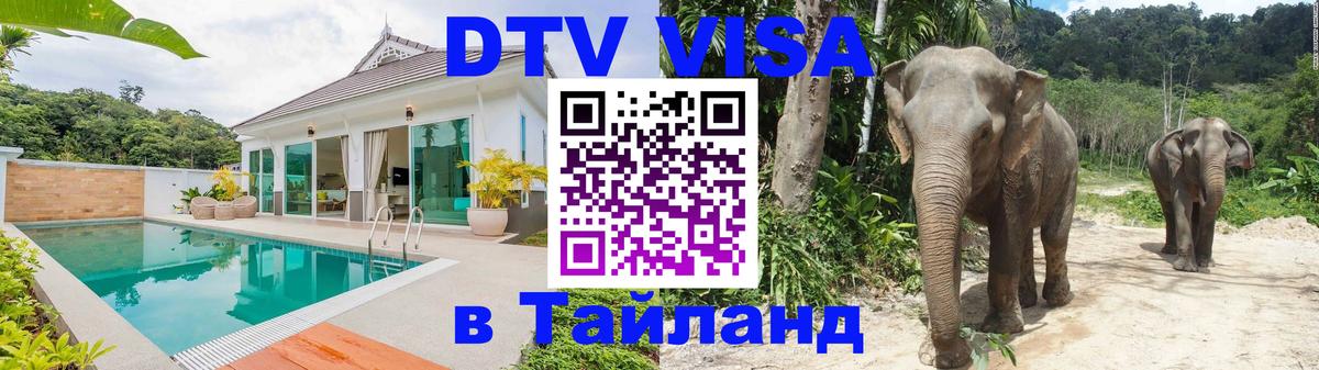 Сколько стоит DTV виза — актуальные цены, оформление даже без документов - Новокузнецк  18.11.2025 